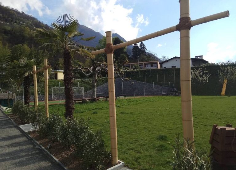 bamboo sustainable building solution 2 768x554