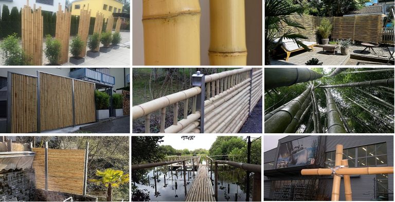Bamboo canes bamboo poles bamboo sticks 2024 768x394