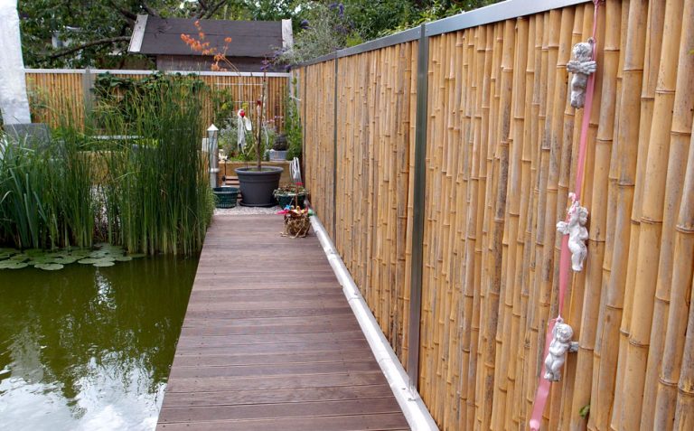 Bamboe terras1 768x477