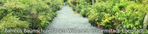 Pépinière Willumeit Darmstadt 300x70