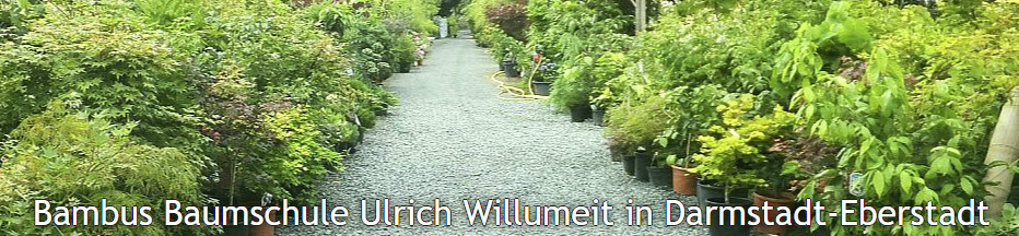 Willumeit Kwekerij Darmstadt