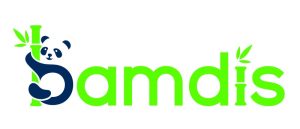 bamdis logo 800 300x129